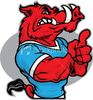 razorbackjim Avatar