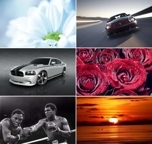 The Best Mixed Wallpapers Pack 195