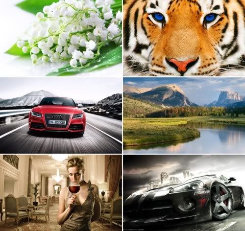 The Best Mixed Wallpapers Pack 325