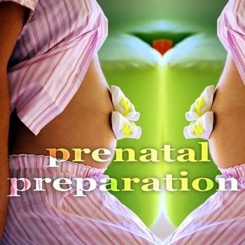 VA - Prenatal Preparation (Creative Progressive House Music) VA - Prenatal Preparation (Creative Progressive House Music)