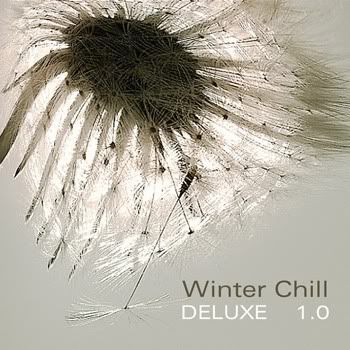 VA - Winter Chill Deluxe 1.0 VA - Winter Chill Deluxe 1.0