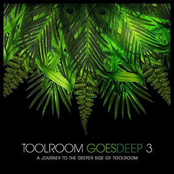 Toolroom Goes Deep 3 (2013) Toolroom Goes Deep 3 (2013)