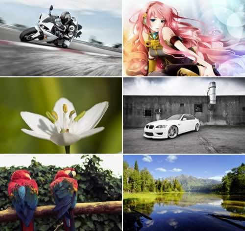The Best Mixed Wallpapers 356 The Best Mixed Wallpapers 356