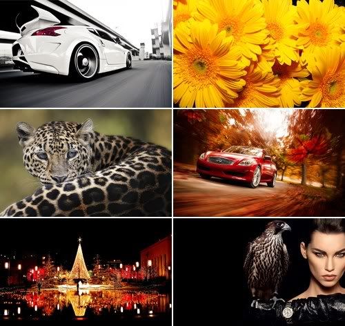 The Best Mixed Wallpapers 362