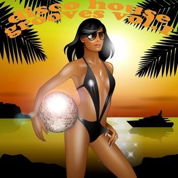 Disco House Grooves Vol 1 (Just Another Day In Paradise) (2012) .MP3 - 320 Kbps