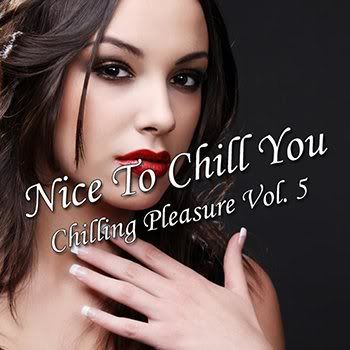 Nice To Chill You Vol 5 (Chilling Pleasure) (2011)