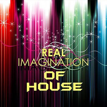 Real Imagination Of House (2011) Real Imagination Of House (2011)