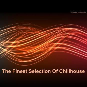 The Finest Selection Of Chill House Vol 3 (2012)