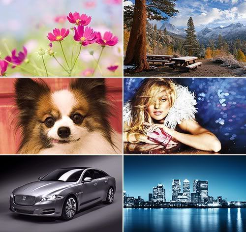 The Best Mixed Wallpapers 442