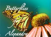 butterfliesforalexandra