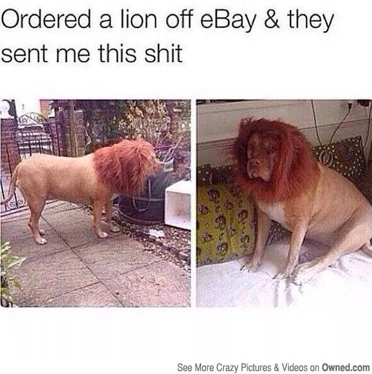 0E93FC52-3C7F-46FA-8FEF-431E27A39D02_zps