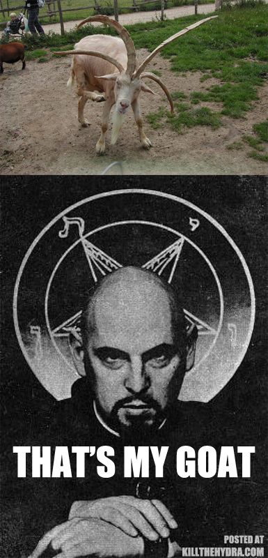 3FB75110-A786-4581-8E4C-32225D3E80DD_zps