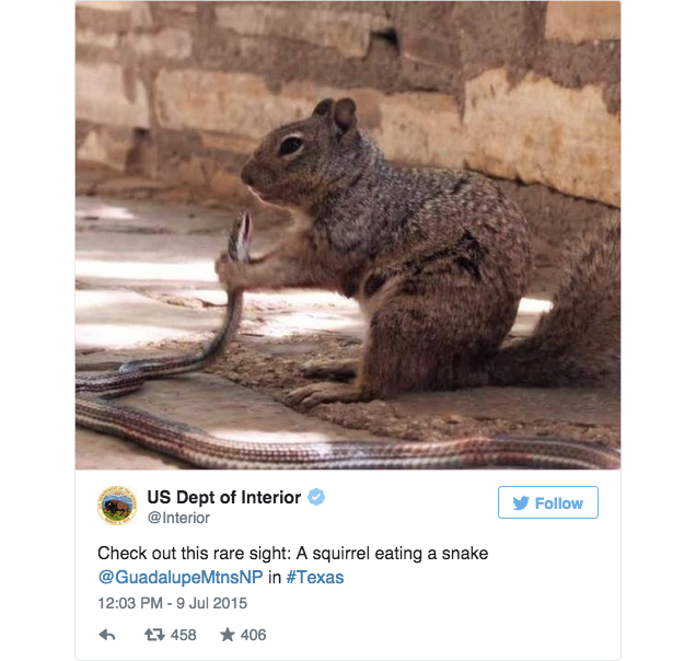 68B9232B-C405-421A-9A36-4AA3E5F23C8F_zps