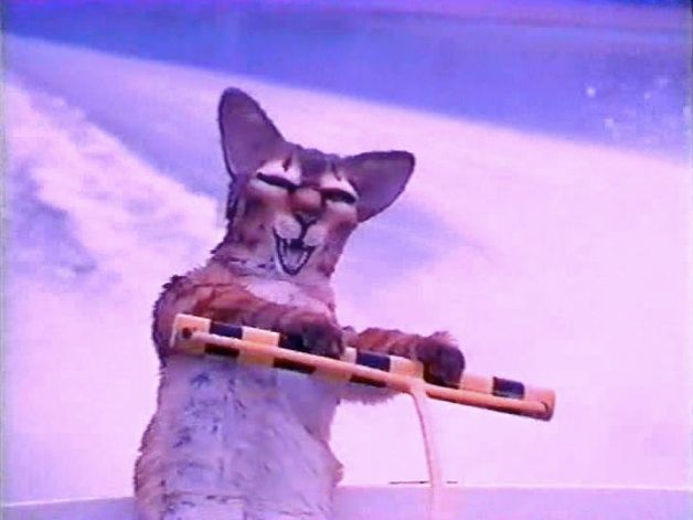 70AD4260-EEAA-404D-8A48-EED4A658469B_zps