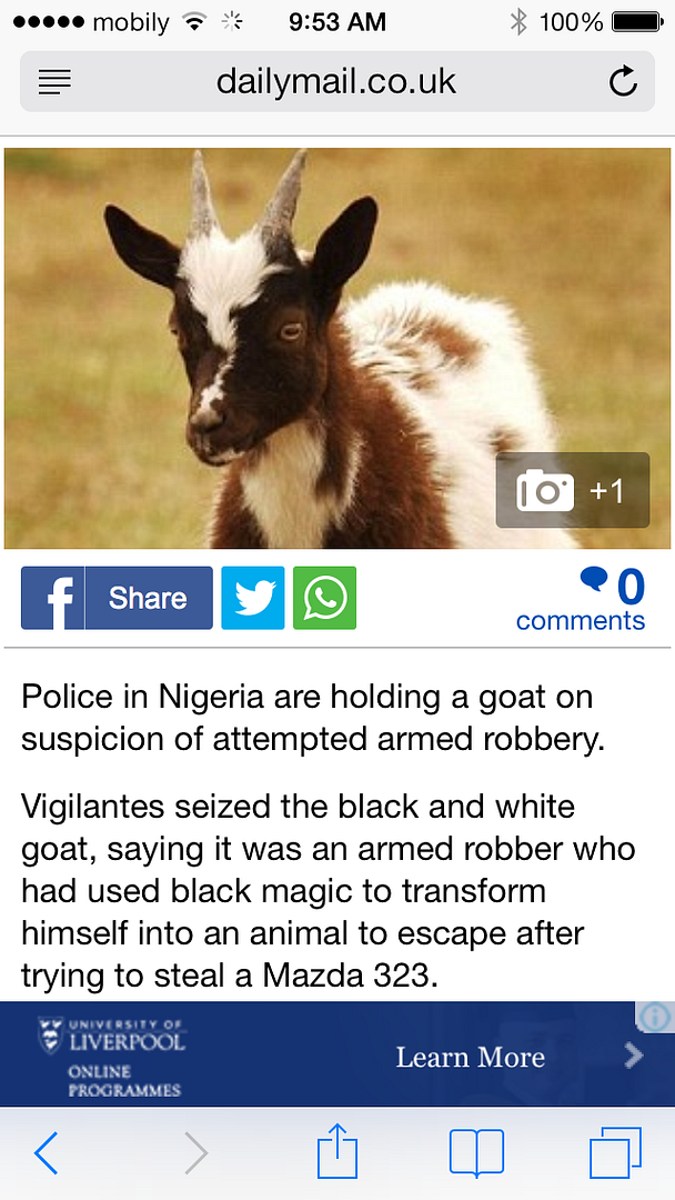 8EACDFAB-039C-4CF8-ACD0-1B7B39302B87_zps