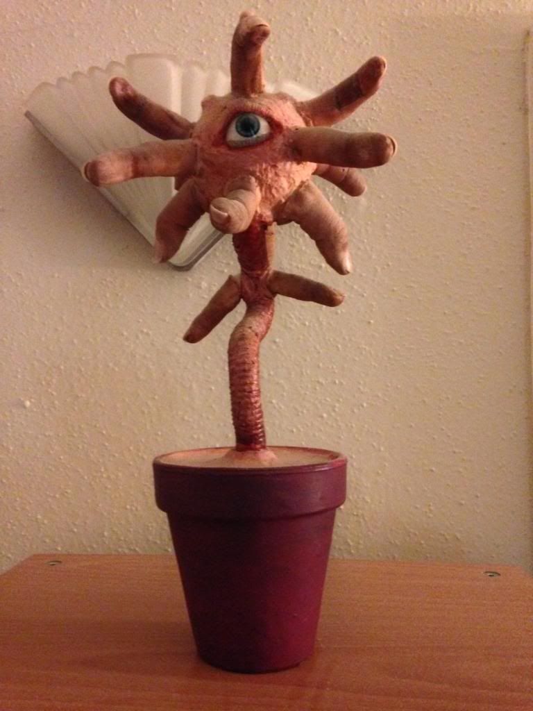 C27D0B81-6B90-4349-AF6C-62E4F3E81ED1_zps