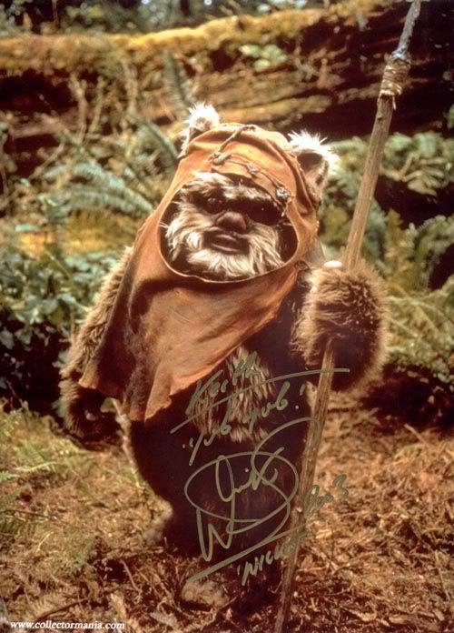 ewok.jpg