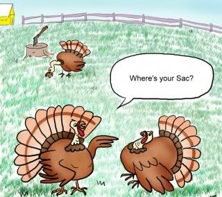 Do turkeys have testicles?