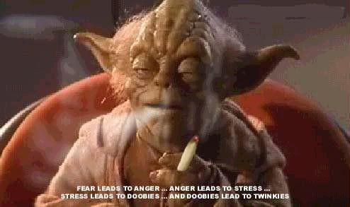 yoda4.jpg