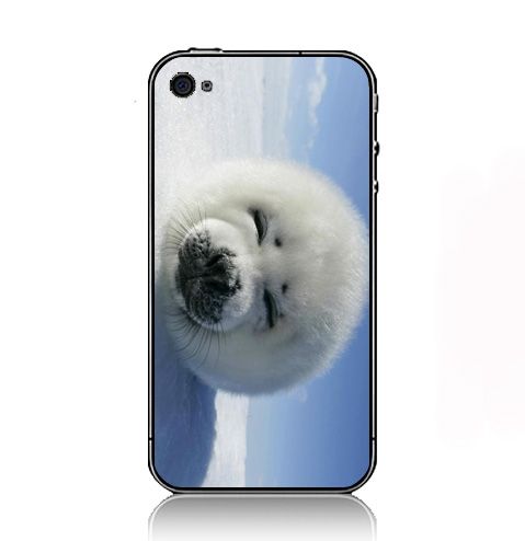 World Harp Greenland iPhone Kılıf-Kapak 975