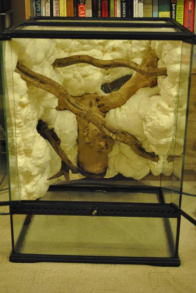 New Planted tanks and DIY Expanding Foam Backgrounds Reptile Forums