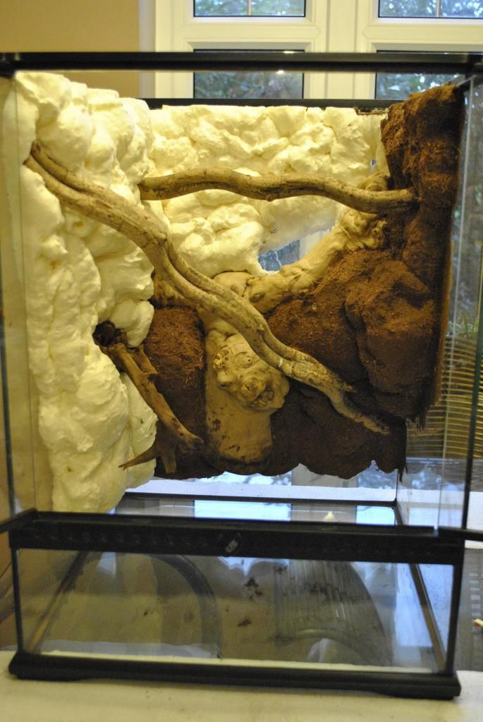 New Planted tanks and DIY Expanding Foam Backgrounds Reptile Forums