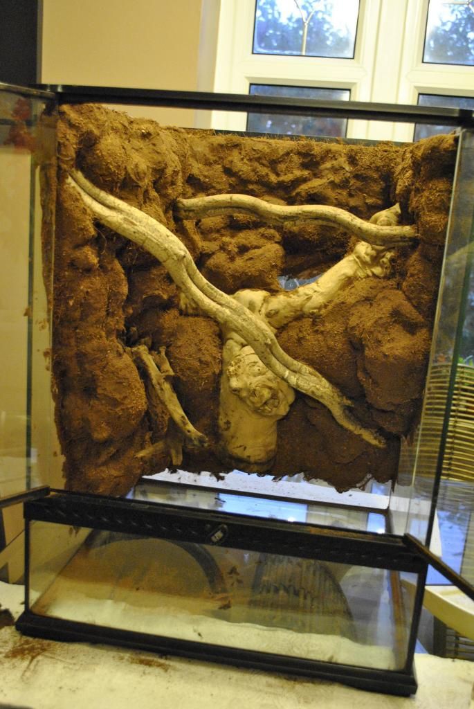 New Planted tanks and DIY Expanding Foam Backgrounds Reptile Forums