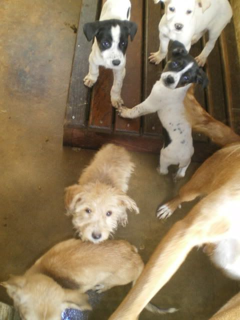 Imagem