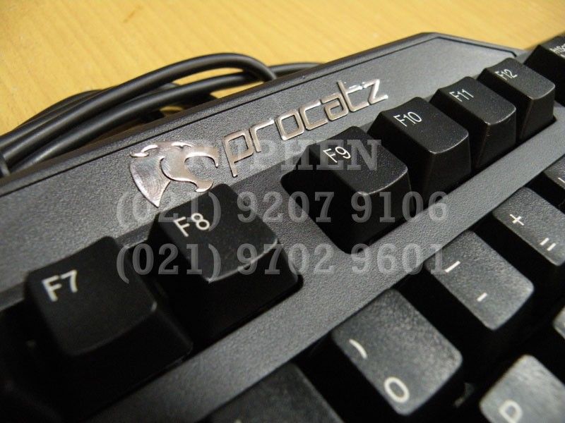 ProcatzG70007.jpg