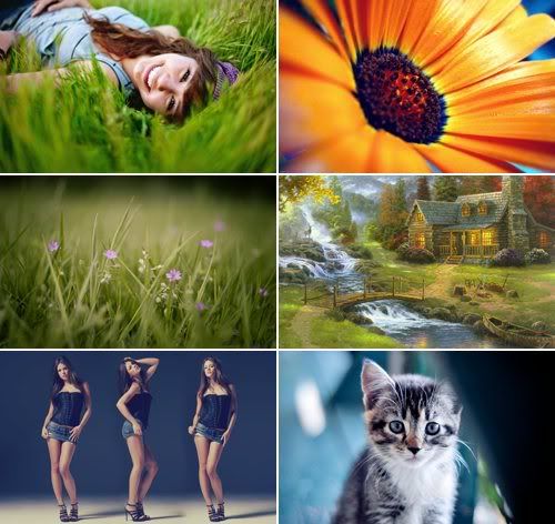 The Best Mixed Wallpapers 423 The Best Mixed Wallpapers 423