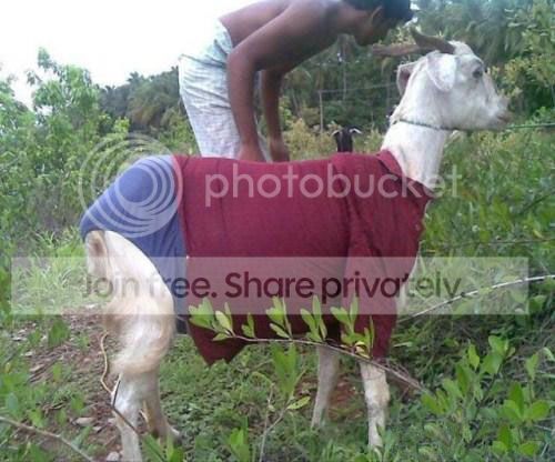Fun-from-India-013.jpg
